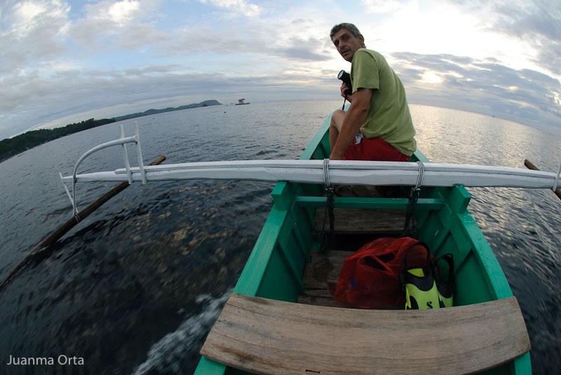 Buscando delfines al amanecer