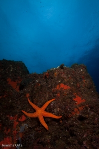 La estrella roja