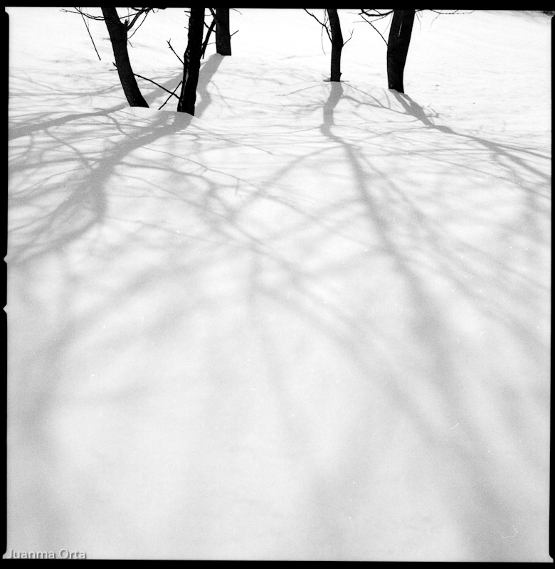 Sombras en la nieve