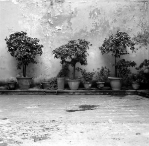 Patio en Santa Croce, Florencia